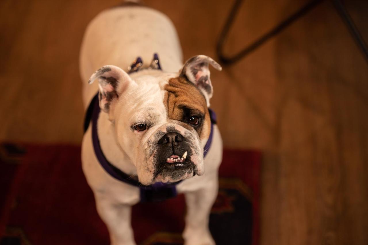 Loyal Duke Lodge ซาลิดา ภายนอก รูปภาพ